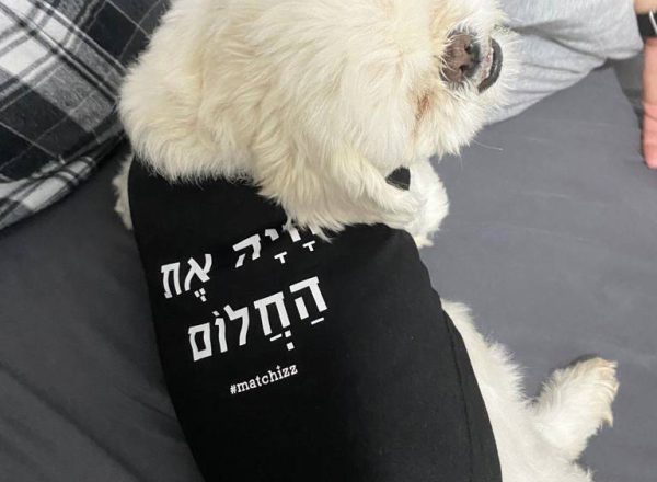 בגדים לכלב